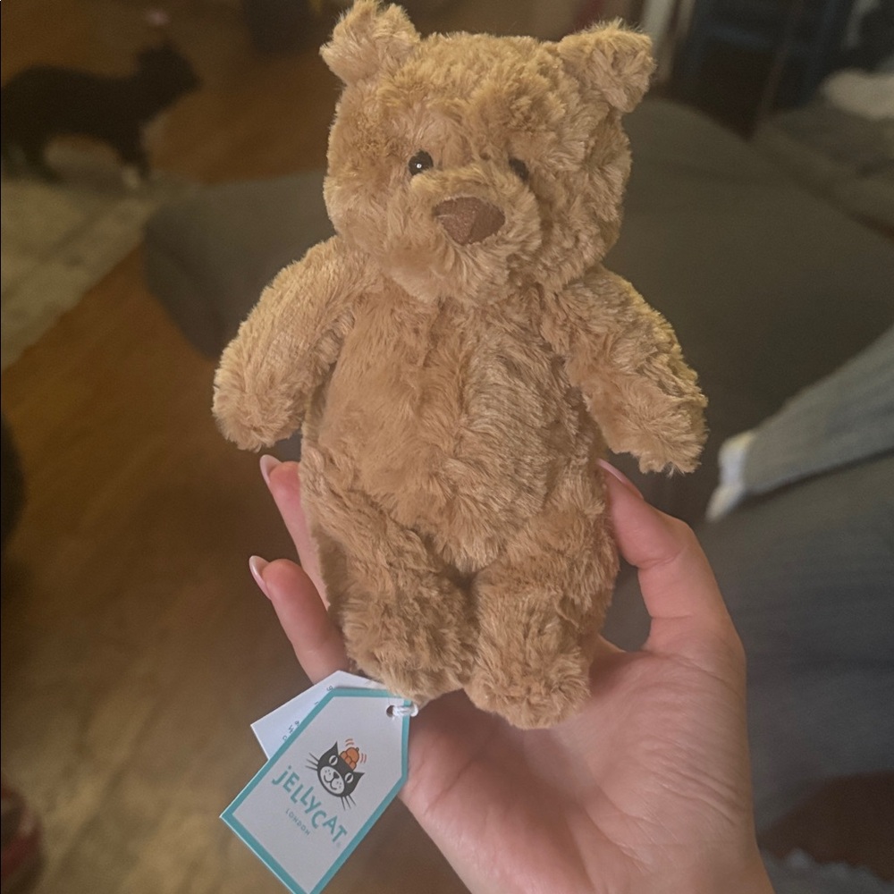 Jellycat Bartholomew Bear Tiny